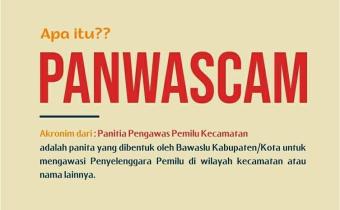 APA ITU PANWASCAM?