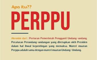 APA ITU PERPPU?